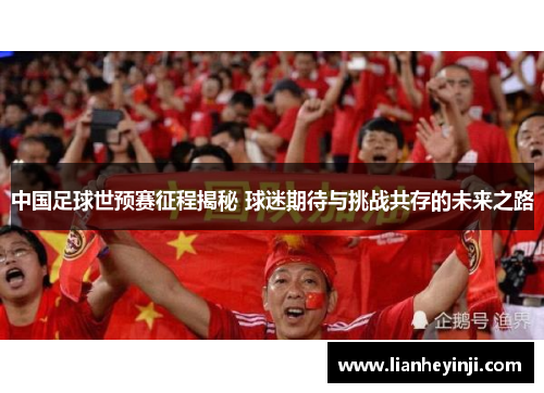 中国足球世预赛征程揭秘 球迷期待与挑战共存的未来之路