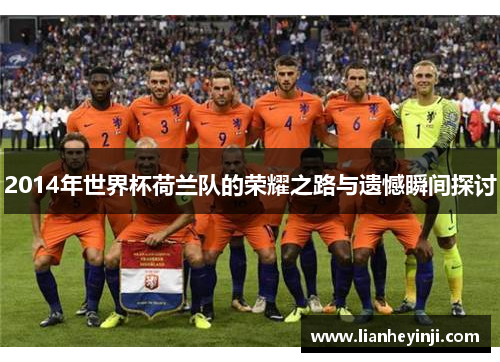 2014年世界杯荷兰队的荣耀之路与遗憾瞬间探讨